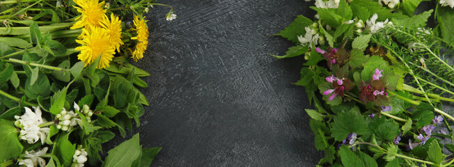 Edible plants and flowers on a dark background.