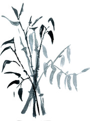 Bamboo Watercolor clipart botanikal. Ink Painting for Korean Chuseok.Watercolor flowers Bamboo.