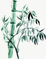 Bamboo Watercolor clipart botanikal. Ink Painting for Korean Chuseok.Watercolor flowers Bamboo.