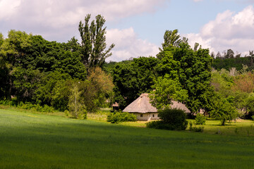 Fototapeta na wymiar Summer rural landscape on a sunny day