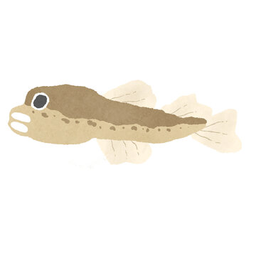 はぜ Images Browse 190 Stock Photos Vectors And Video Adobe Stock はぜ Images Browse 190 Stock Photos Vectors And Video Adobe Stock