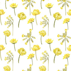 watercolor drawing seamless pattern with spring flowers of yellow globeflower and cowslip, hand drawn illustration