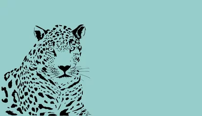 Foto op Plexiglas Monochrome color Leopard lying and looking forward isolated vector illustration © Massaget