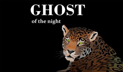 Fototapeta na wymiar Leopard lying and looking back in the shadow of night vector illustration