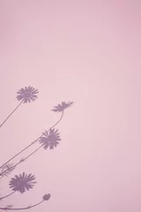 Fotobehang Shadow of flowers on pink background. Overlay. © Татьяна Максимова