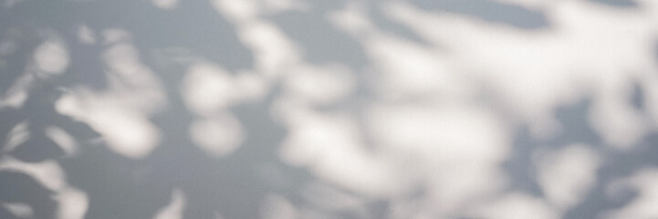 Obraz premium Shadow of foliage on white background. Overlay.