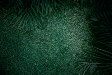 abstract background with green leaves