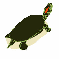 vector illustration of a Red-eared turtle	