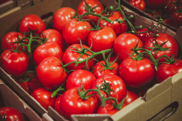 Close-up, tomatoes in a box on the counter.