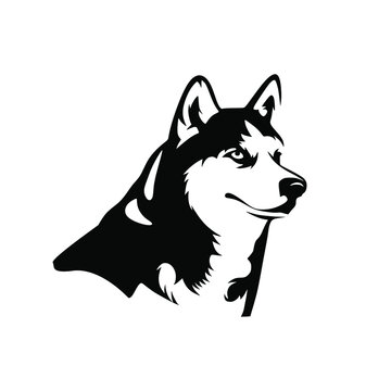 siberian husky minimal illustration. siberian husky logo design. vector