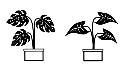 black botanical icon illustration design isolated on white background