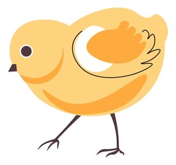 Small chicken, baby chick farming animal vector
