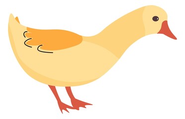 Duck or goose, farm or domestic animals, vector