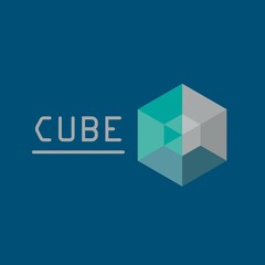 Cube business vector