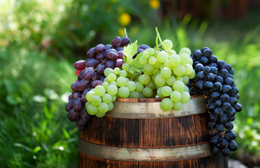 Various colorful grapes on wine barrel