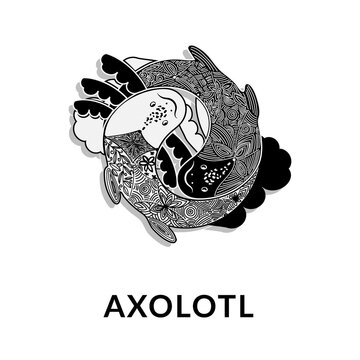 Cute axolotl (Ambystoma mexicanum), vector icon in monochrome. Yin and Yang. White and black axolotl. Fantasy patterns on reptile backs. Logo in fashionable linear style.