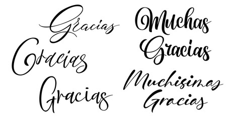 Gracias calligraphy spain text. Hand lettering spanish word thank you. Lettering postcard design in script style. Vector isolated illustration