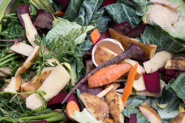 composting, organic food waste closeup