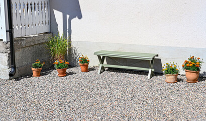 old green bench and flowers in pots