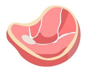 Pork meat, steak slice for grilling and cooking