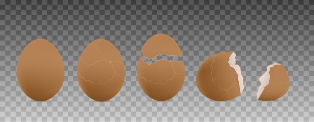 Cracked farm chicken egg in 3d vector illustration, hatching chick stages