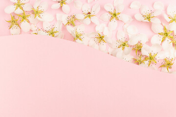 Tender floral pink abstract background with spring gentle white apple tree flowers, blank geometric waved plane for text mockup on pastel pink for advertising, design, greeting card, copy space.