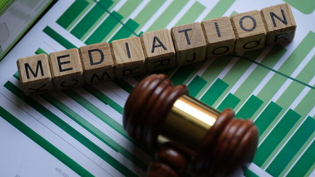 Wooden Blocks With Word Mediation And Judge Gavel On Stats Documents