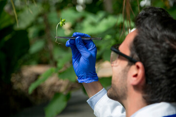 Focus on a small plant held by a biologist while he analyses it outdoors