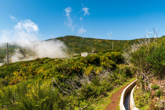 Levada do Paul with wind turbines on Paul da Serra mountain plateau on the background in Madeira