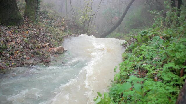 A waterfall at San Fele, Italy, inside a forest, going down with a strong water current. Regular speed, rainy day.
