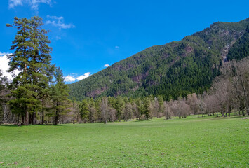 Fototapeta na wymiar Spring in the Caucasian mountains.