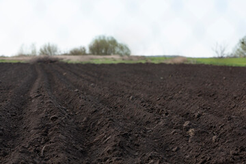 Spring arable land on a farm with black soil, fertile soil of the agro complex