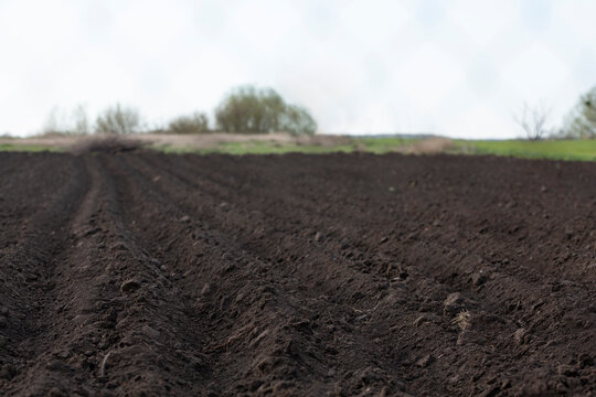 Spring arable land on a farm with black soil, fertile soil of the agro complex