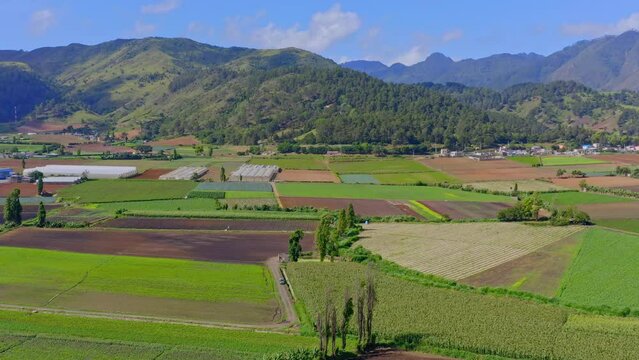 Aerial flight over fertile farm lands of Constanza, Dominican Republic