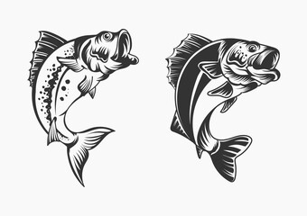 Fish vector illustration for print items and t-shirt