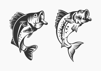 Fish vector illustration for print items and t-shirt