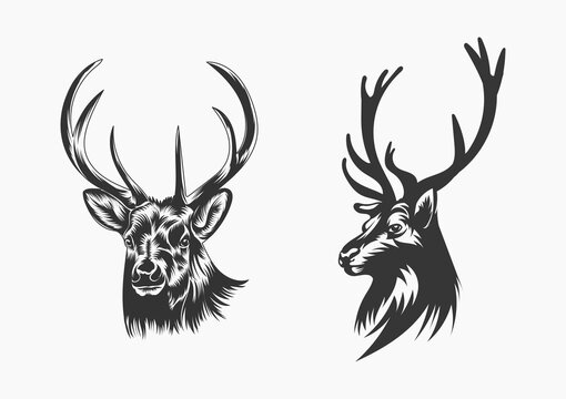 Hunting Deer Head Silhouette
