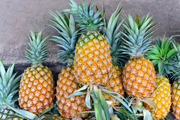 background pineapple hawaii. Ripe baby pineapple. Tropical fruits. Top view. Free space for text.