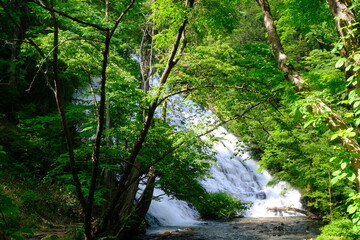 奥日光の湯滝　栃木県