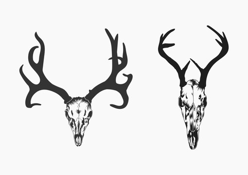 Hunting Deer Head skull Silhouette