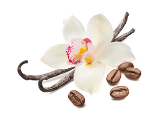Single vanilla flower and roasted coffee beans isolated on white background