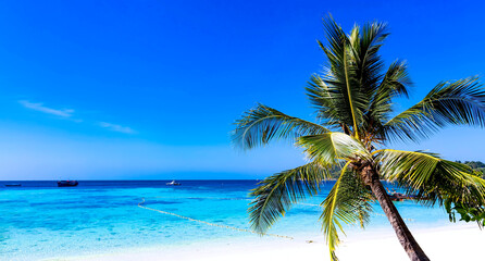 Naklejka na ściany i meble The Tropical Summer palm tree on the beach and sandy beach and ocean with waves background