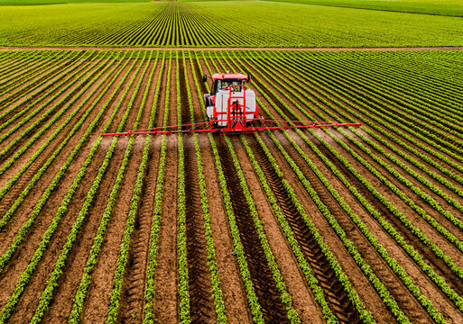 Pesticide spraying tractor on soybean field