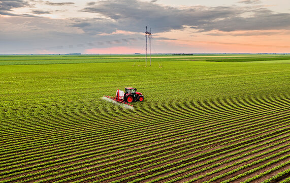 Pesticide spraying tractor on soybean field at sunset