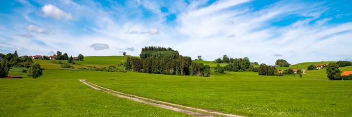 Fototapeta na wymiar Panoramic view of green countryside and country road