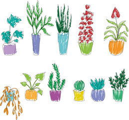 Set of colorful home flowers in trendy mono line style - art deco. Hand drawn vector flowerpots.