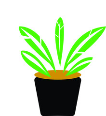 vector illustration of green grass in a pot
