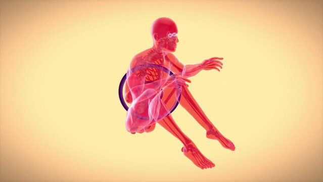 4K anatomy of a man doing situps