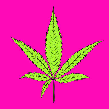 Green marijuana leaf with black outline isolated on pink background in neon colors. Vector illustration.