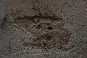 The gray cement wall has cracks